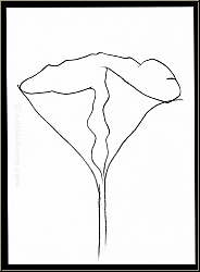 Ellsworth Kelly:  Lotus  en noir 1982, Lithographie originale pour  Hommage  Aim et Marguerite Maeght 