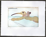 Michel Lablais: Homme-Ibis Homme-oiseau, gravure  l'eau-forte signe, nageur curieux | uvre graphique