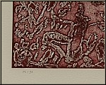 Mark Tobey:  Divertimento  1971, Gravure  l'eau-forte et aquatinte signe au crayon - image numrotation